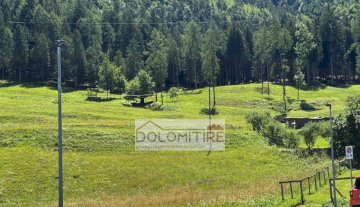 Terreno - Perarolo di Cadore CARALTE