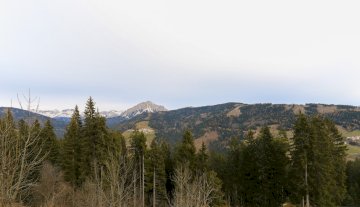 Schiera Bifamiliare - Danta di Cadore